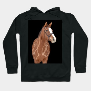 Giraffe horse Hoodie